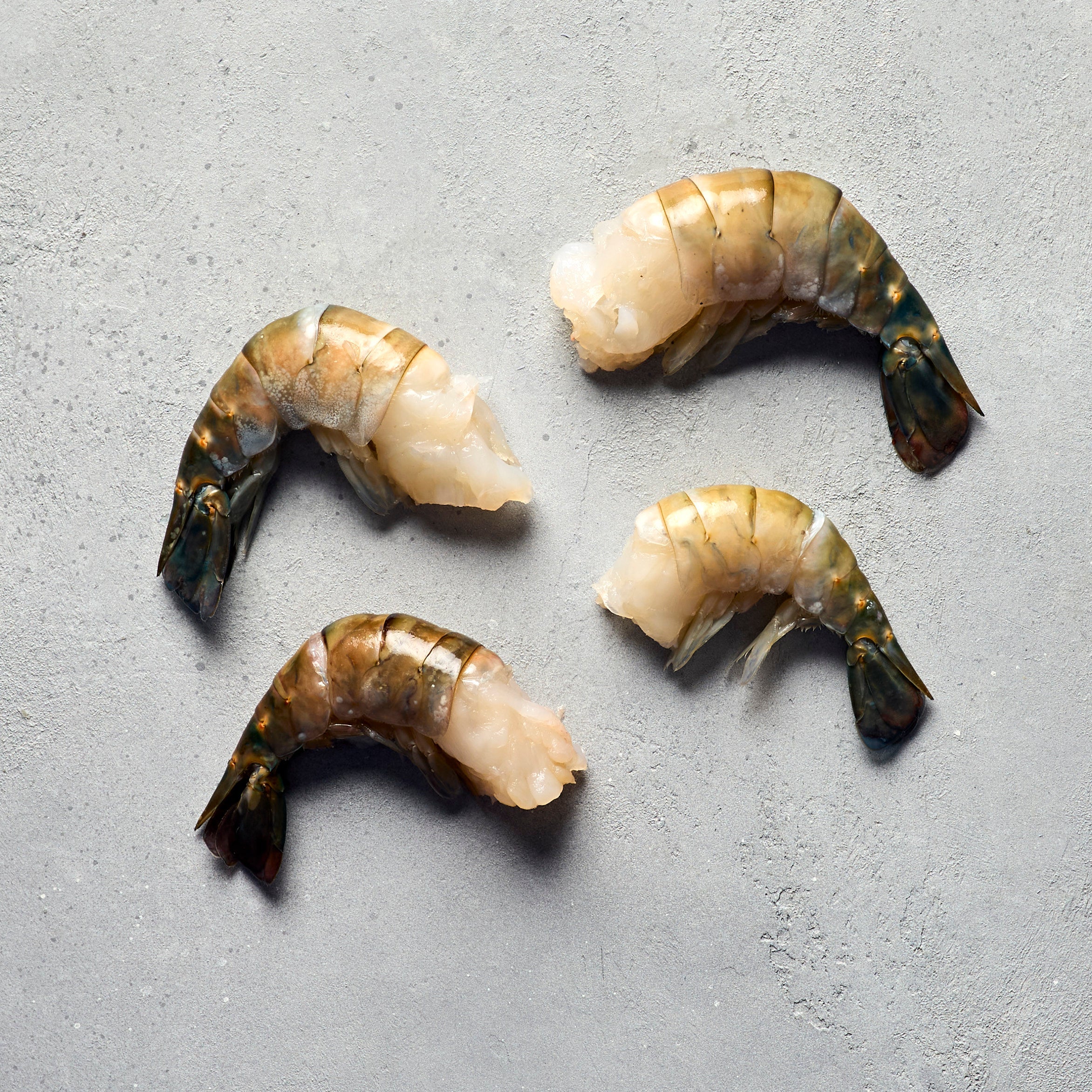 Fresh Shellfish