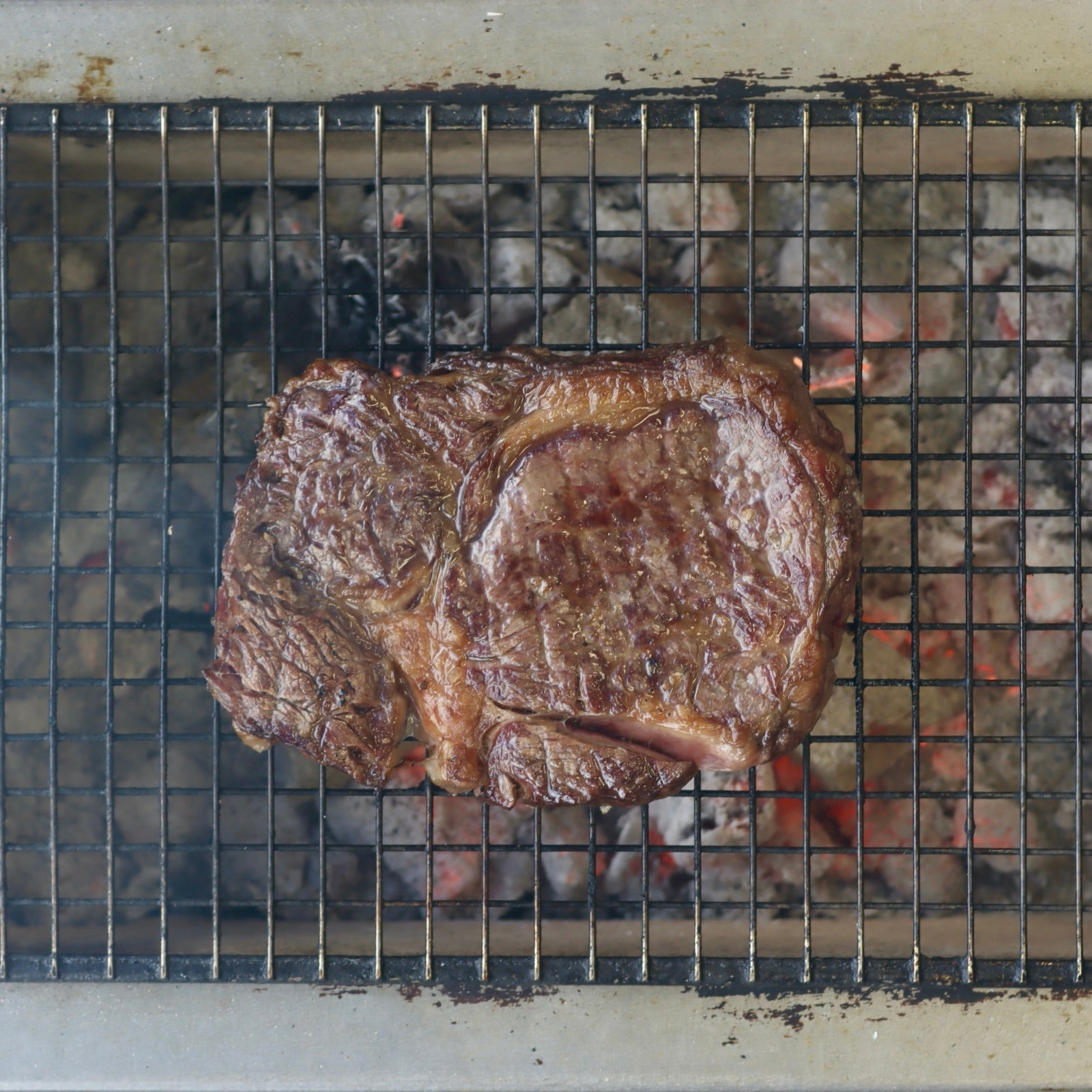 Choco Ribeye