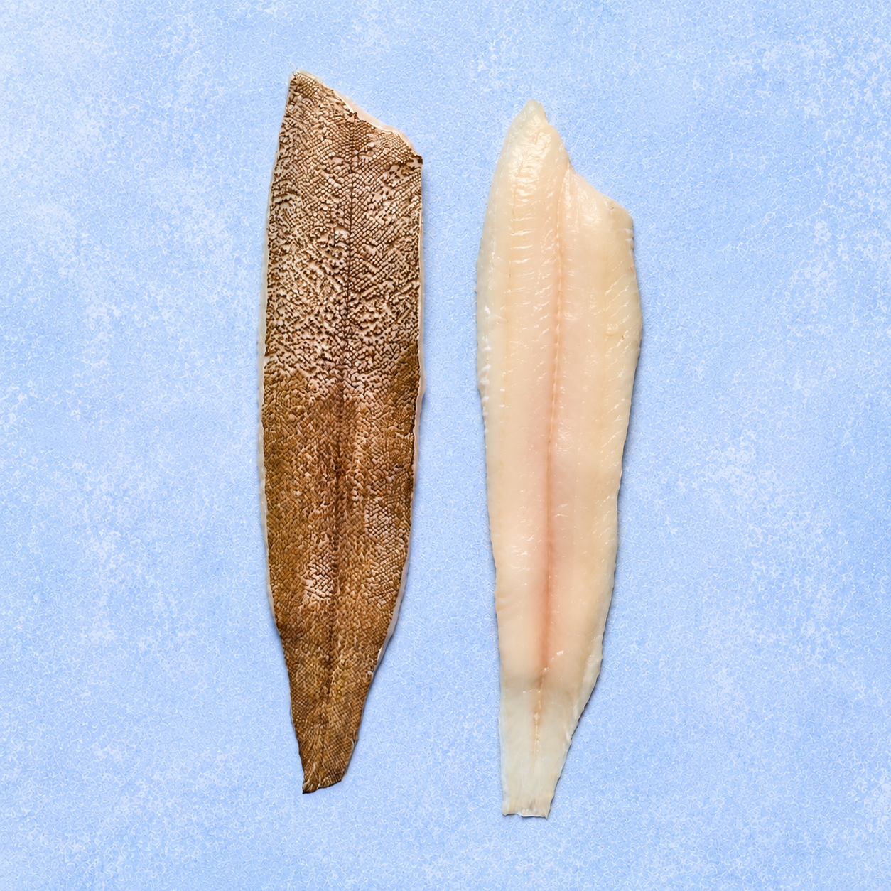 Dover Sole Fillet