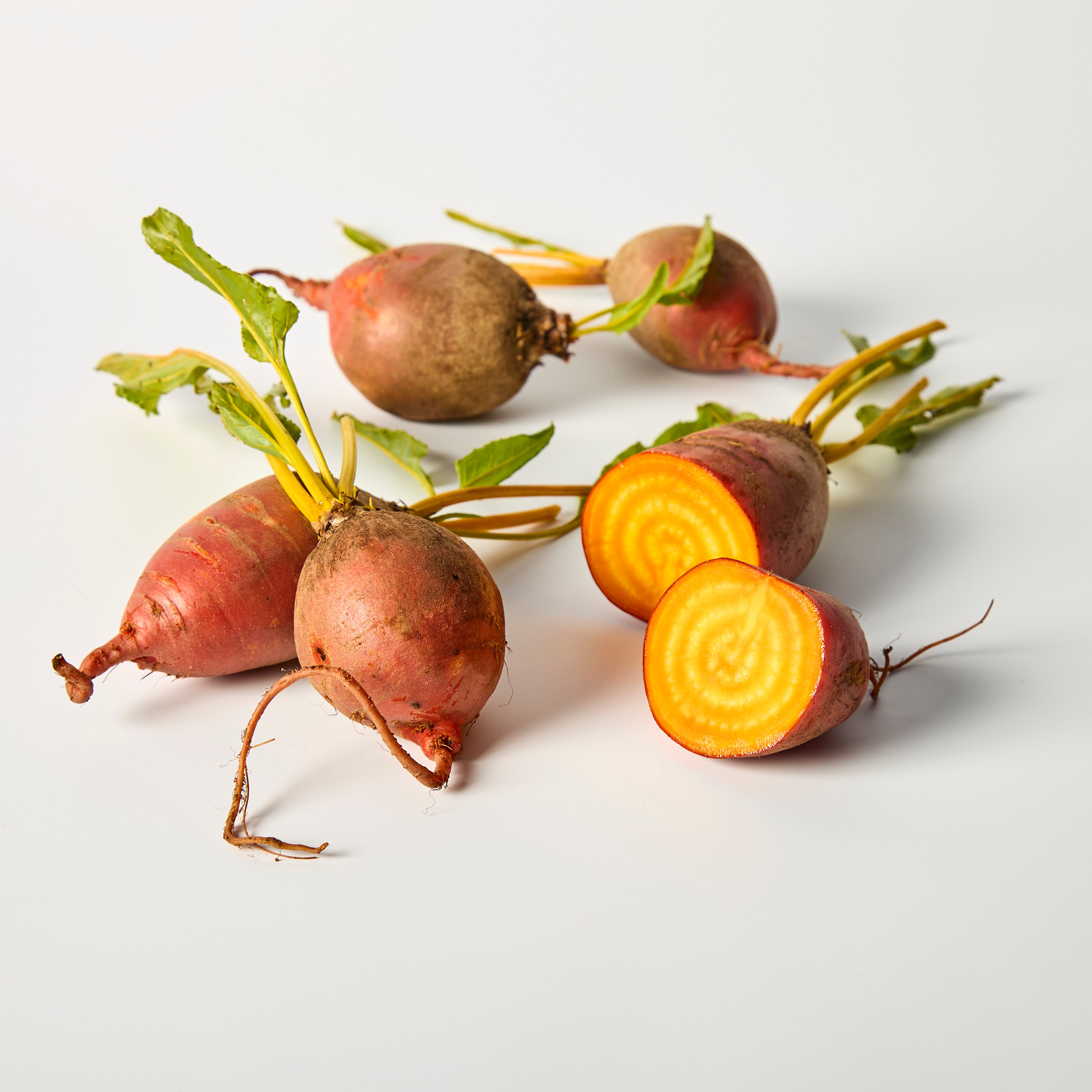 Flame Badger Betroot