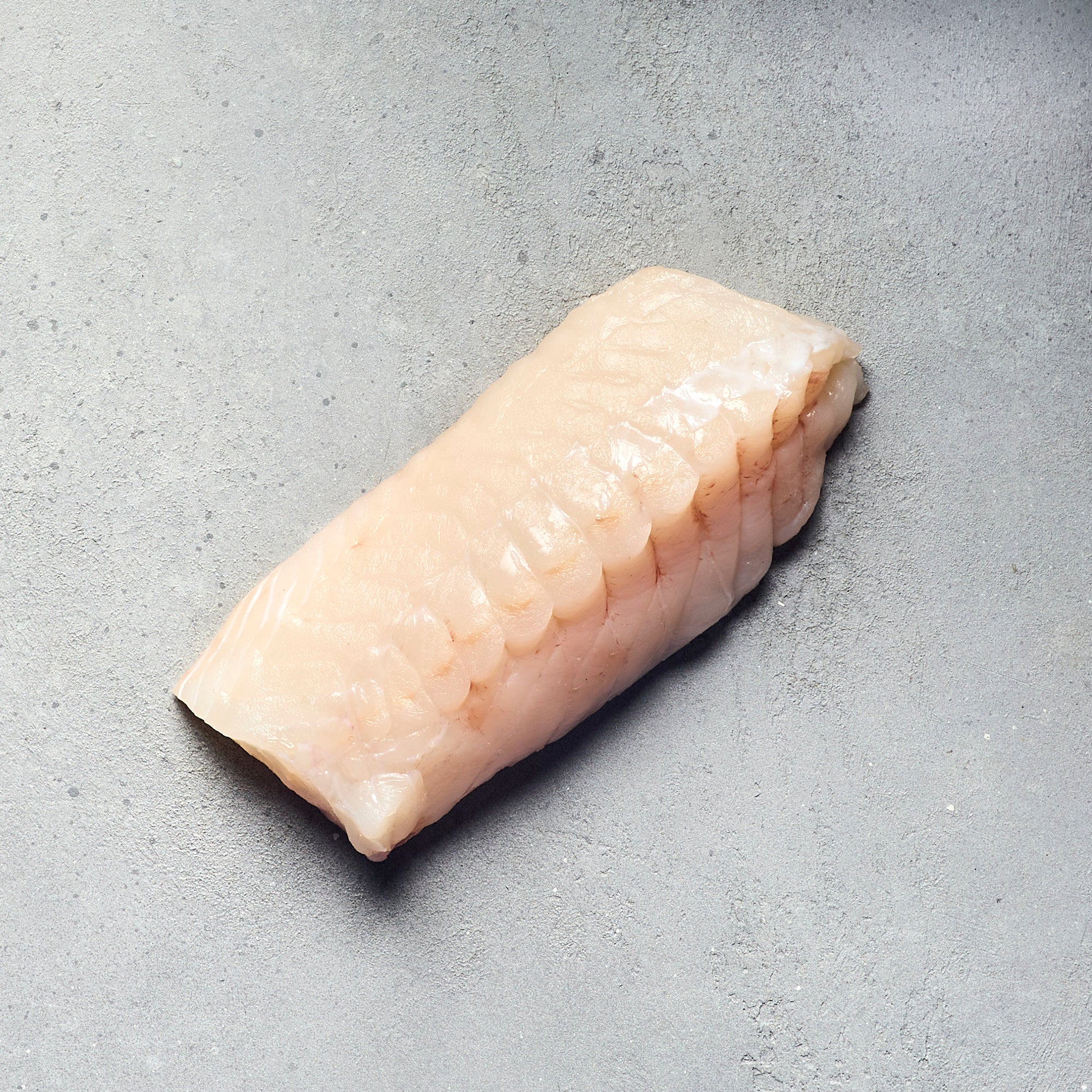 Monkfish