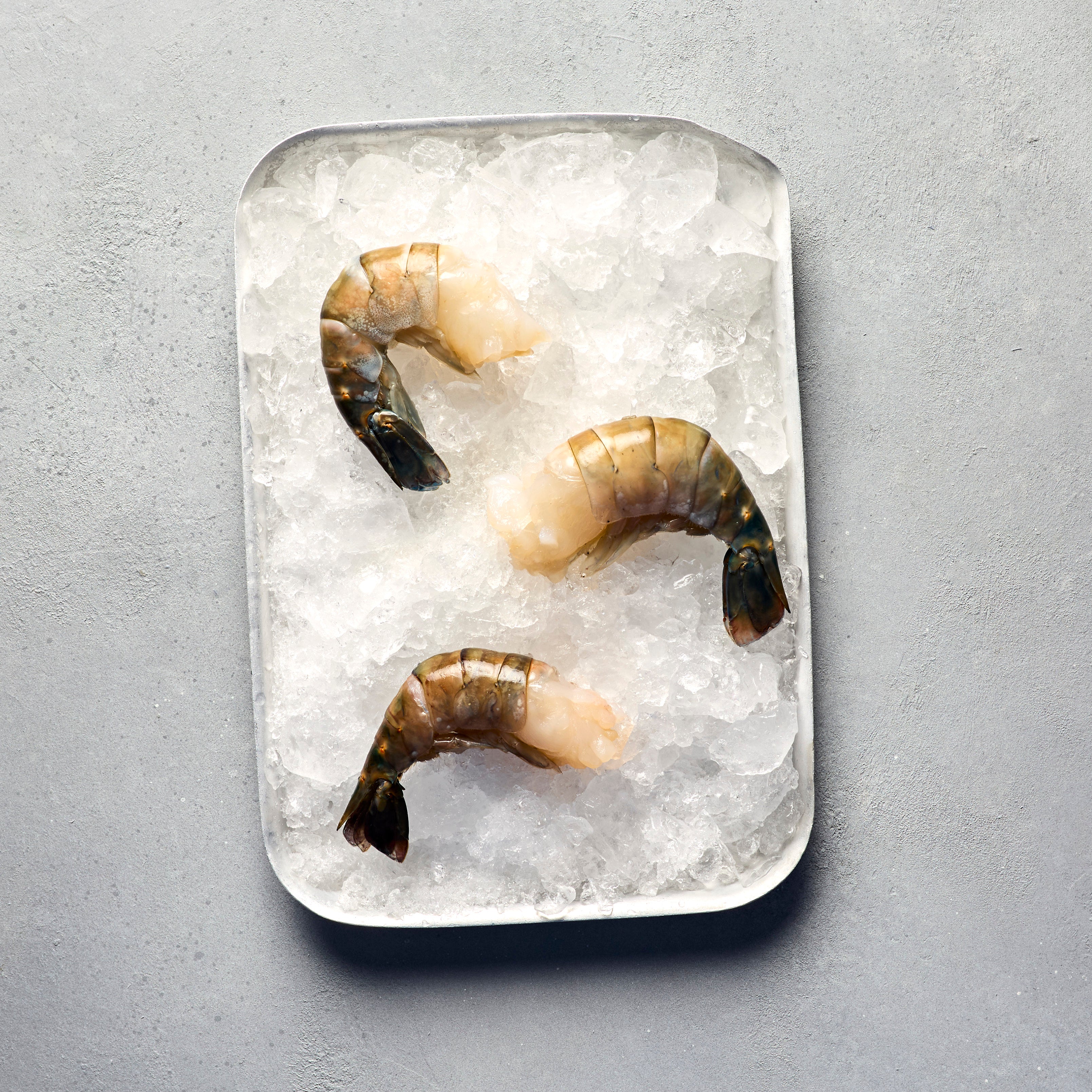 U5 Freshwater Prawns