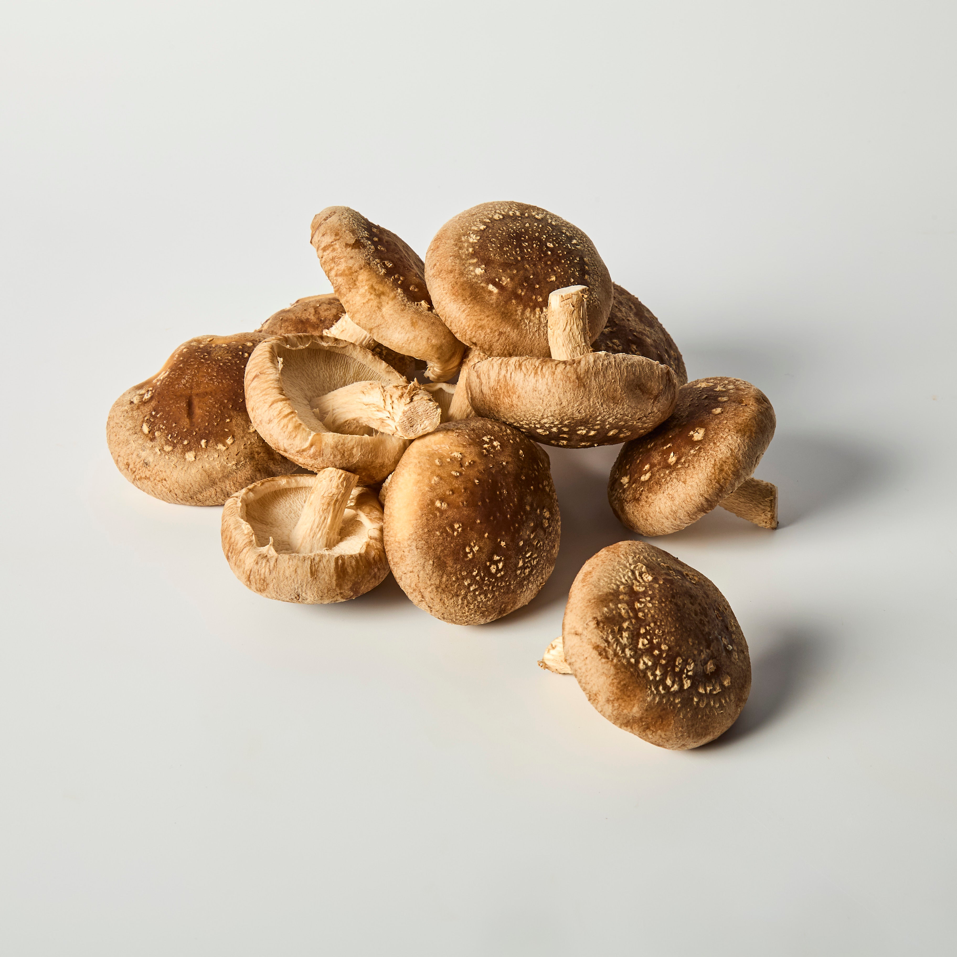 UK Shiitake