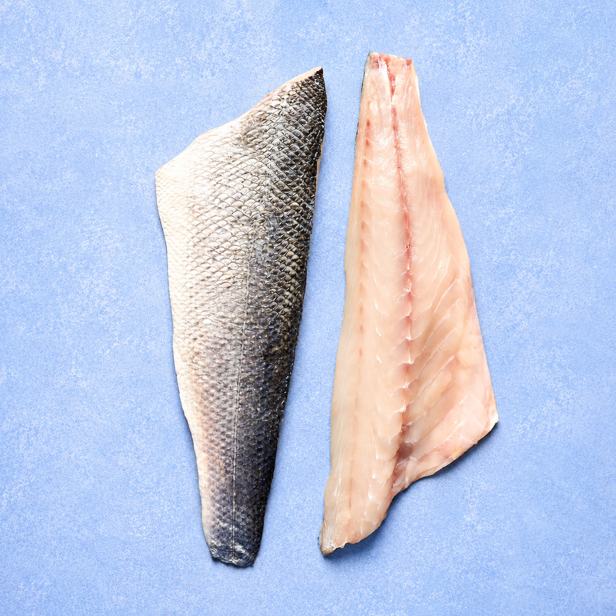 Wild Cornish Seabass