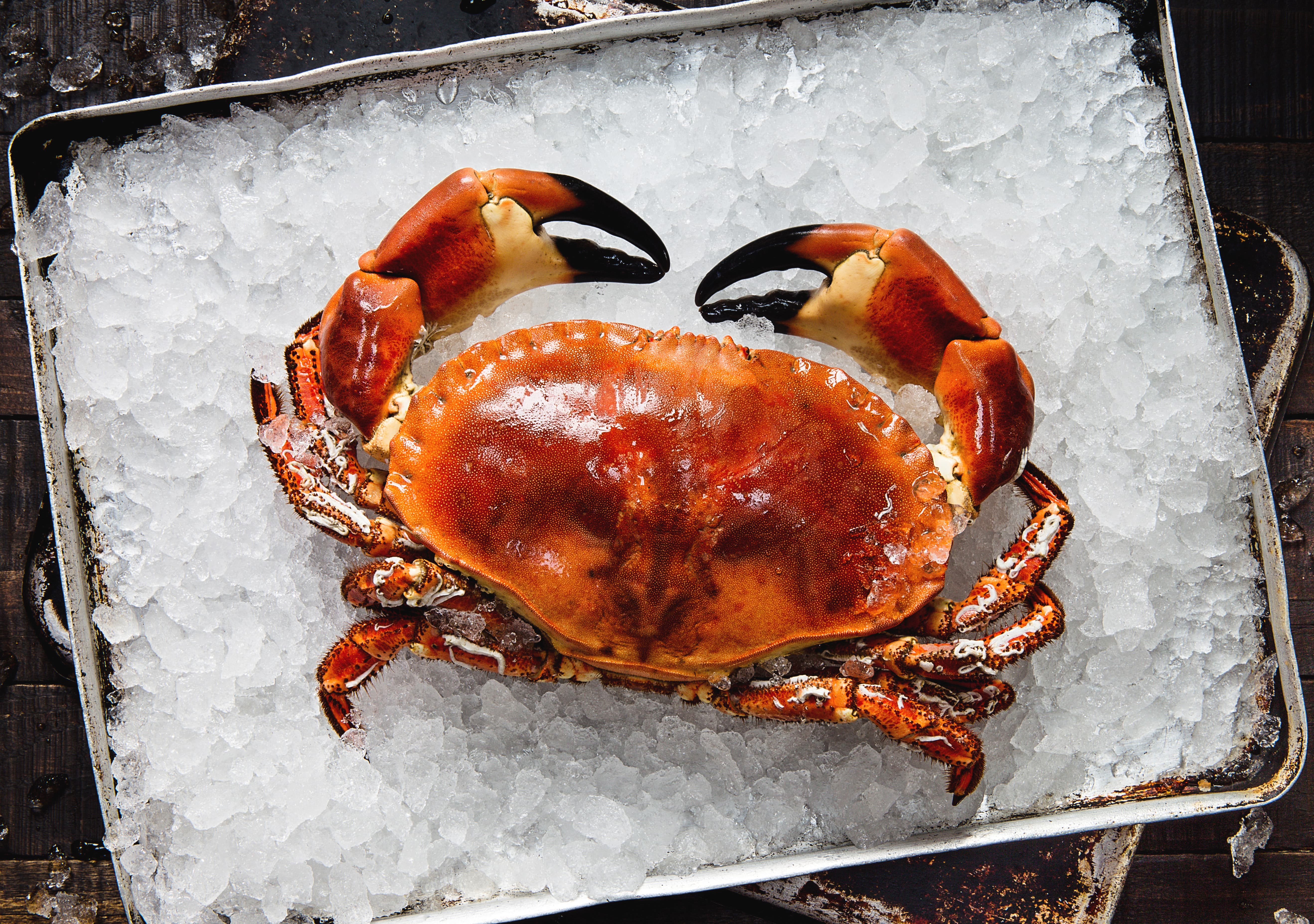 Fresh Seafood