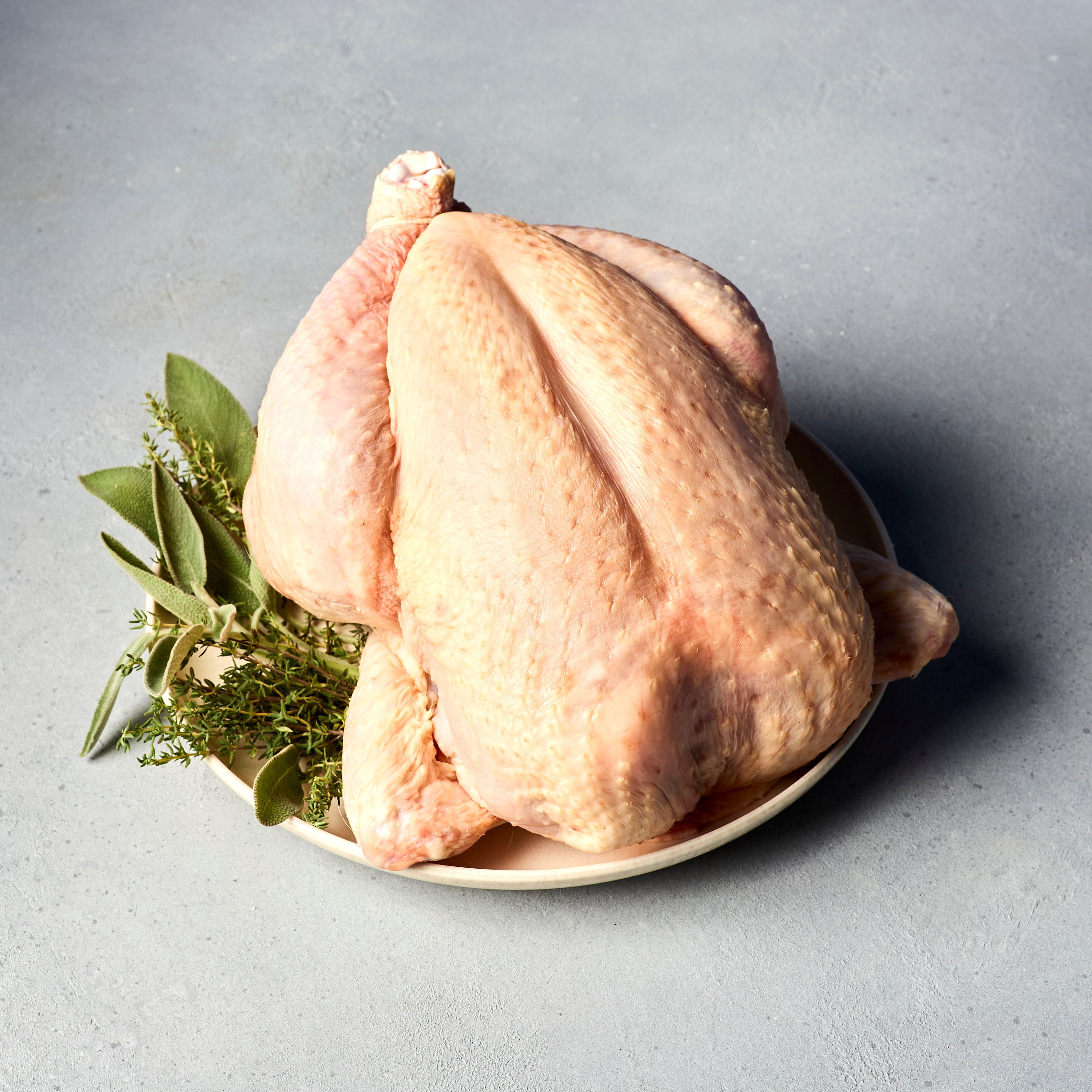 Poultry