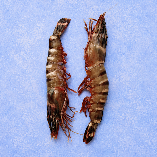 Wild Tiger Prawns