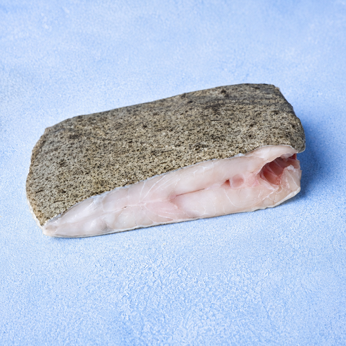 Wild Turbot Troncon