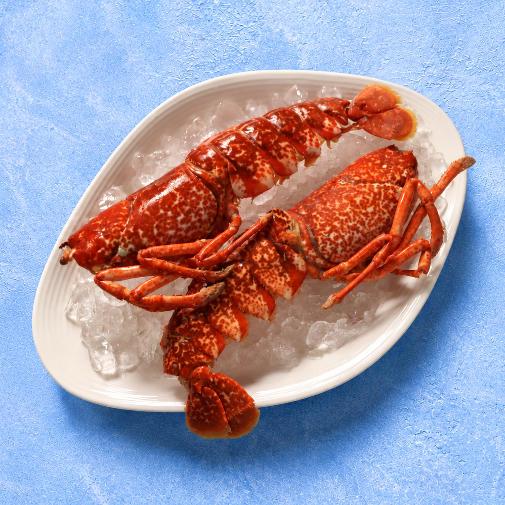 Cornish Dressed Lobster Plated