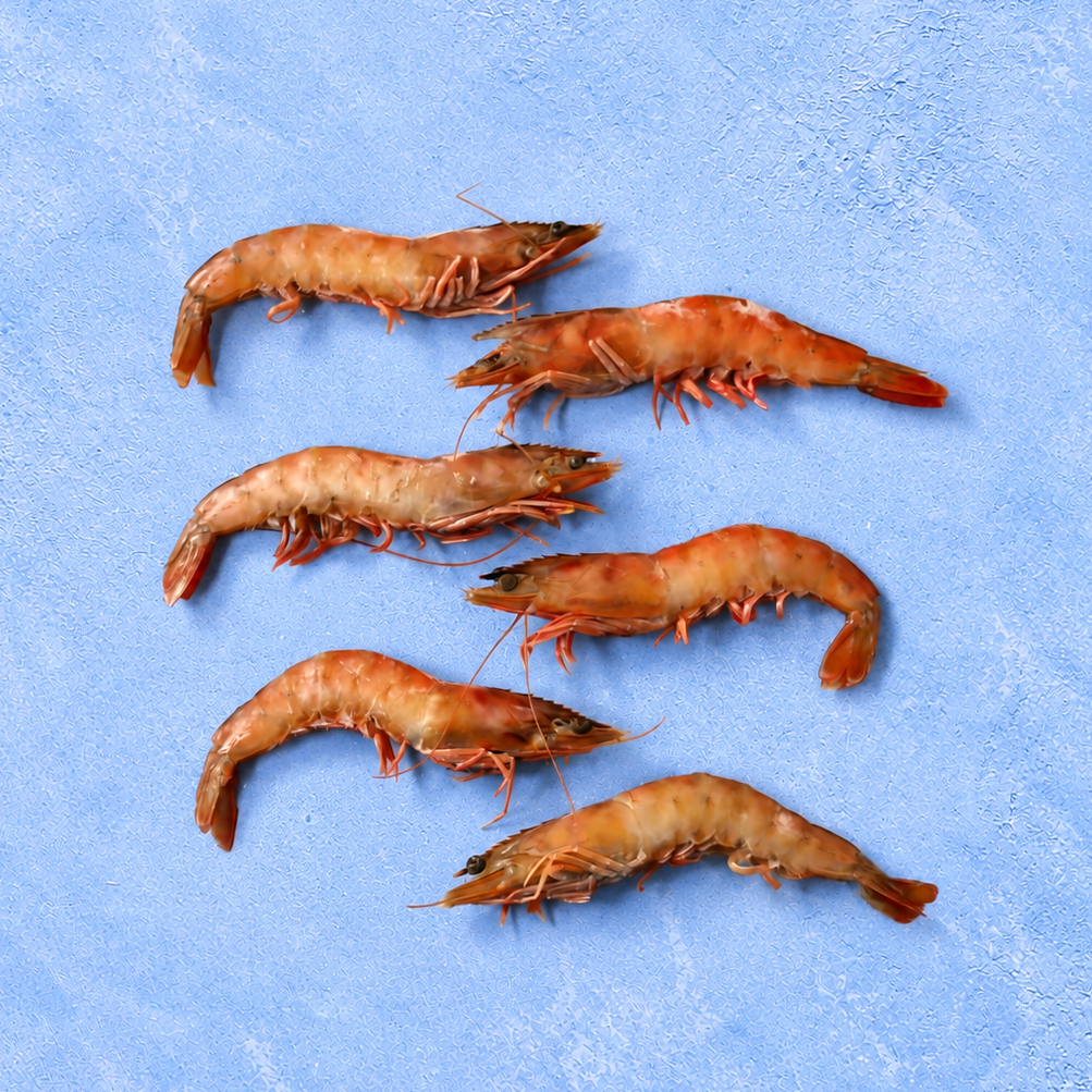 Huelva White Prawns