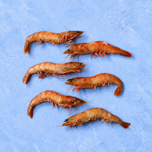 Huelva White Prawns