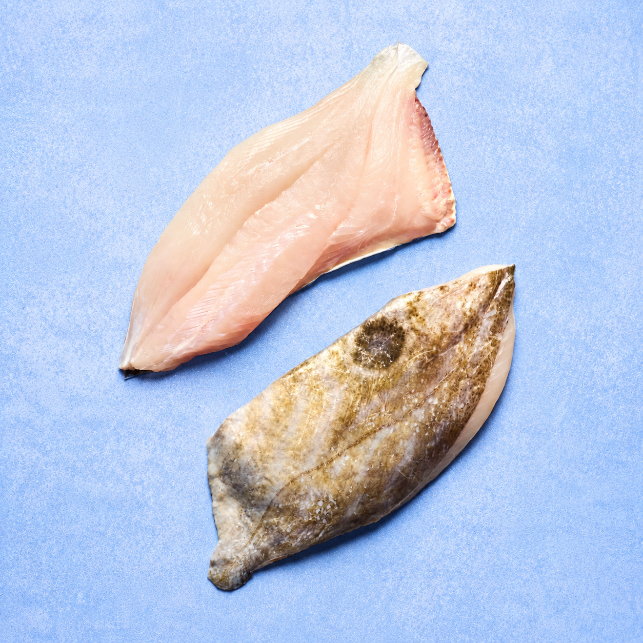 John Dory Fillet