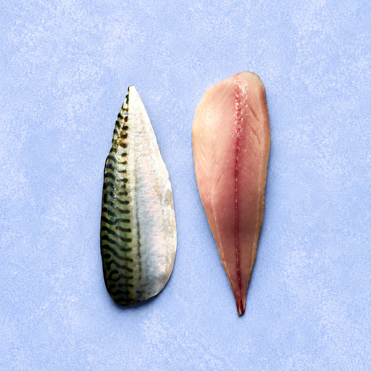 Mackerel Fillet