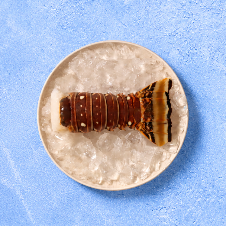 Rock Lobster Tail