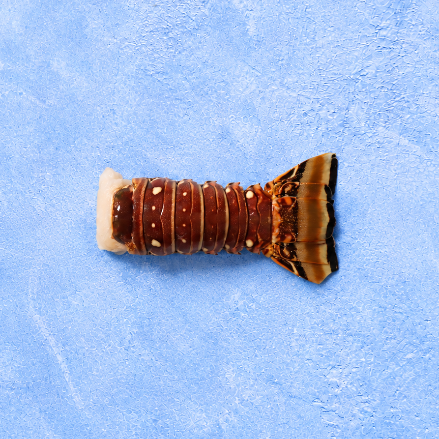 Rock Lobster Tail