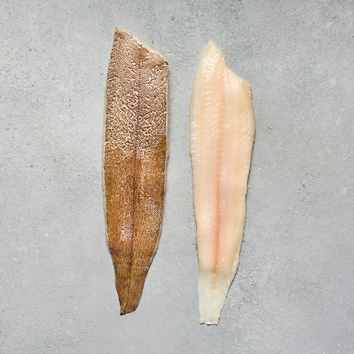 Dover Sole