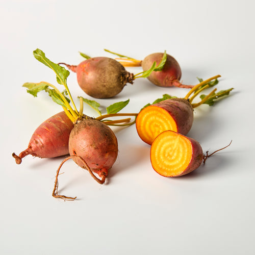 Flame Badger Betroot