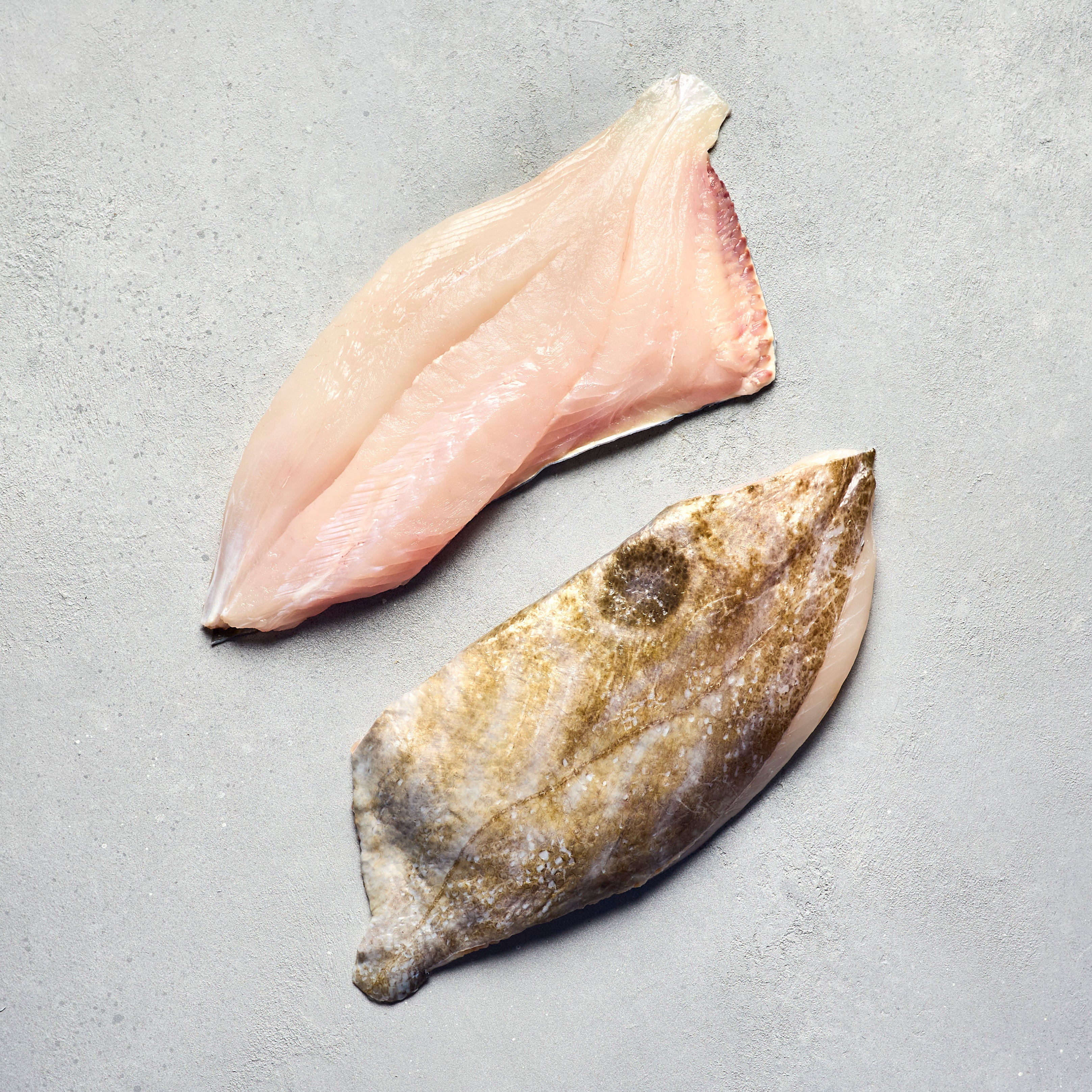 John Dory