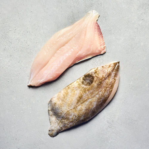 John Dory