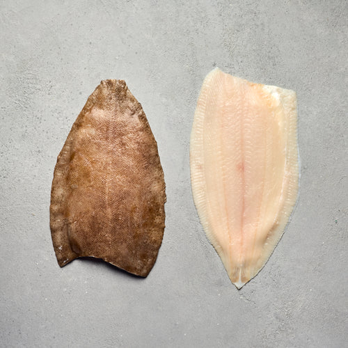 Lemon Sole