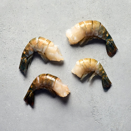 U5 Freshwater Prawns